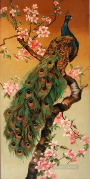 peacock on palm tree birds Oil Paintings